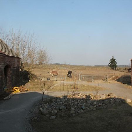 Ferienwohnung Pusteblume Steinhofel Dış mekan fotoğraf
